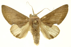  ( - INBIOCRI002479958)  @14 [ ] Copyright (2012) Juan Mata Lorenzen INBio