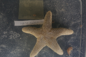  ( - CO8_As01)  @11 [ ] Unspecified (default): All Rights Reserved  Unspecified Unspecified