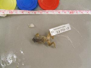  ( - PSCRU-CMNAR 33790-03)  @11 [ ] Unspecified (default): All Rights Reserved  Unspecified Unspecified