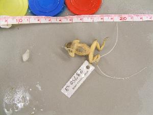  ( - PSCRU-CMNAR 33790-03)  @11 [ ] Unspecified (default): All Rights Reserved  Unspecified Unspecified