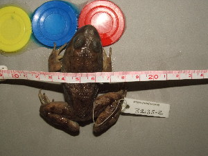  ( - RACAT-CMNAR 32135-2)  @11 [ ] Unspecified (default): All Rights Reserved  Unspecified Unspecified