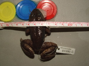  ( - RACAT-CMNAR 32240-02)  @11 [ ] Unspecified (default): All Rights Reserved  Unspecified Unspecified