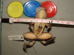  ( - RACAT-CMNAR 32240-02)  @11 [ ] Unspecified (default): All Rights Reserved  Unspecified Unspecified