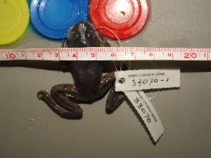  ( - RACAT-CMNAR 33070)  @11 [ ] Unspecified (default): All Rights Reserved  Unspecified Unspecified