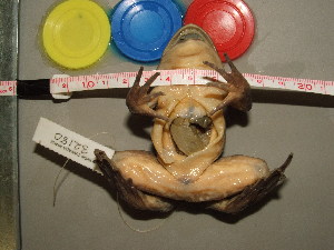  ( - RACAT-CMNAR 32180)  @11 [ ] Unspecified (default): All Rights Reserved  Unspecified Unspecified