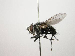  ( - Haber 000188)  @14 [ ] Unspecified (default): All Rights Reserved  Unspecified Unspecified