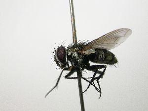  ( - Haber 000221)  @13 [ ] Unspecified (default): All Rights Reserved  Unspecified Unspecified