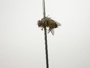  ( - Haber 000319)  @13 [ ] Unspecified (default): All Rights Reserved  Unspecified Unspecified