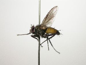  ( - Haber 000324)  @13 [ ] Unspecified (default): All Rights Reserved  Unspecified Unspecified