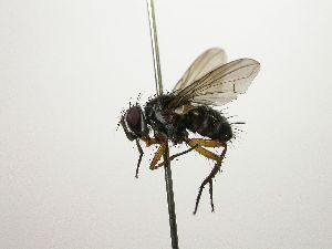  ( - Haber 000356)  @13 [ ] Unspecified (default): All Rights Reserved  Unspecified Unspecified