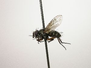  ( - Haber 000405)  @12 [ ] Unspecified (default): All Rights Reserved  Unspecified Unspecified