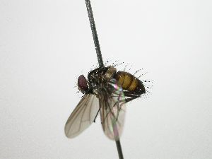  ( - Haber 000435)  @12 [ ] Unspecified (default): All Rights Reserved  Unspecified Unspecified