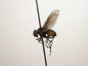  ( - Haber 000436)  @13 [ ] Unspecified (default): All Rights Reserved  Unspecified Unspecified