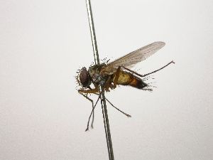  ( - INB0003072993)  @12 [ ] Unspecified (default): All Rights Reserved  Unspecified Unspecified