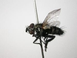  ( - INB0003370759)  @14 [ ] Unspecified (default): All Rights Reserved  Unspecified Unspecified
