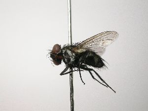  ( - INB0003552815)  @15 [ ] Unspecified (default): All Rights Reserved  Unspecified Unspecified