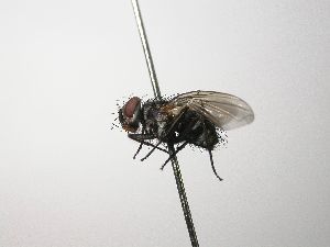  ( - INB0003553080)  @13 [ ] Unspecified (default): All Rights Reserved  Unspecified Unspecified