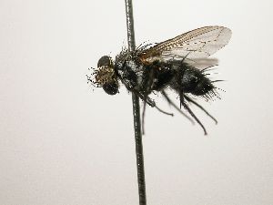  ( - Haber 000558)  @11 [ ] Unspecified (default): All Rights Reserved  Unspecified Unspecified