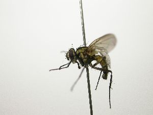 ( - Haber 000769)  @14 [ ] Unspecified (default): All Rights Reserved  Unspecified Unspecified