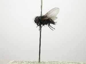  ( - INBIOCRI002416258)  @11 [ ] Unspecified (default): All Rights Reserved  Unspecified Unspecified