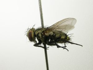  ( - INBIOCRI000740639)  @15 [ ] Unspecified (default): All Rights Reserved  Unspecified Unspecified