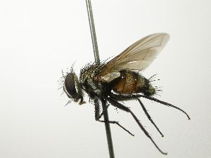  ( - INBIOCRI001196518)  @11 [ ] Unspecified (default): All Rights Reserved  Unspecified Unspecified