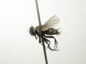 ( - INBIOCRI001758709)  @14 [ ] Unspecified (default): All Rights Reserved  Unspecified Unspecified