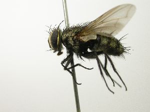  ( - INBIOCRI001906651)  @12 [ ] Unspecified (default): All Rights Reserved  Unspecified Unspecified