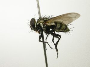  ( - INBIOCRI002001589)  @13 [ ] Unspecified (default): All Rights Reserved  Unspecified Unspecified