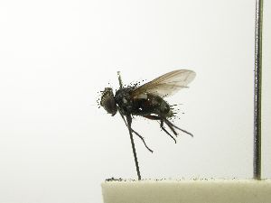  ( - INBIOCRI002328242)  @12 [ ] Unspecified (default): All Rights Reserved  Unspecified Unspecified