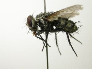  ( - INBIOCRI002414771)  @12 [ ] Unspecified (default): All Rights Reserved  Unspecified Unspecified