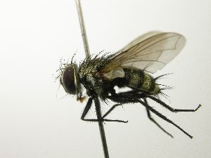  ( - INBIOCRI002465050)  @13 [ ] Unspecified (default): All Rights Reserved  Unspecified Unspecified