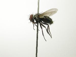  ( - INBIOCRI002563951)  @12 [ ] Unspecified (default): All Rights Reserved  Unspecified Unspecified