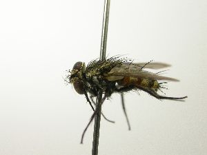  ( - inb0003069801)  @12 [ ] Unspecified (default): All Rights Reserved  Unspecified Unspecified