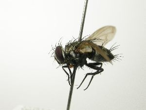  ( - inb0003397519)  @14 [ ] Unspecified (default): All Rights Reserved  Unspecified Unspecified