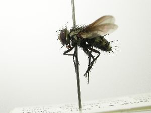  ( - inb0003546463)  @13 [ ] Unspecified (default): All Rights Reserved  Unspecified Unspecified
