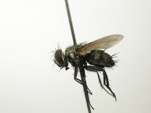  ( - inb0003783821)  @13 [ ] Unspecified (default): All Rights Reserved  Unspecified Unspecified