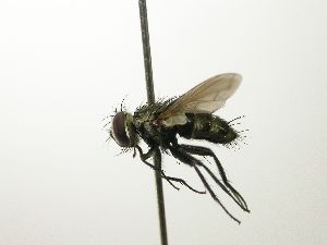  ( - inb0003844507)  @12 [ ] Unspecified (default): All Rights Reserved  Unspecified Unspecified