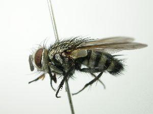  ( - INBIOCRI002049816)  @12 [ ] Unspecified (default): All Rights Reserved  Unspecified Unspecified