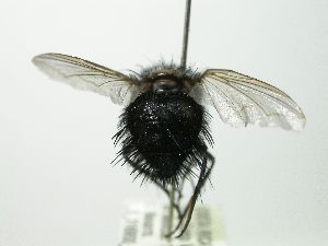  ( - INBIOCRI002573831)  @12 [ ] Unspecified (default): All Rights Reserved  Unspecified Unspecified