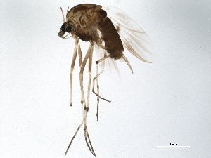  ( - BIOUG01392-E04)  @13 [ ] CreativeCommons - Attribution (2012) CBG Photography Group Centre for Biodiversity Genomics