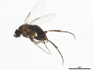  ( - BIOUG01403-G03)  @13 [ ] CreativeCommons - Attribution (2012) CBG Photography Group Centre for Biodiversity Genomics