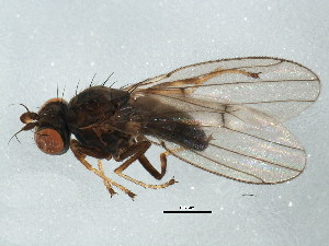  ( - BIOUG01426-D02)  @14 [ ] CreativeCommons - Attribution (2012) CBG Photography Group Centre for Biodiversity Genomics