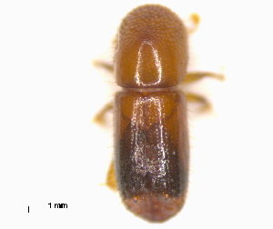  ( - RE21-AF1-SCO-0268)  @11 [ ] by-nc-sa (2023) Unspecified University of W&uuml;rzburg