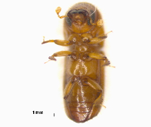  ( - RE21-AF1-SCO-0268)  @11 [ ] by-nc-sa (2023) Unspecified University of W&uuml;rzburg