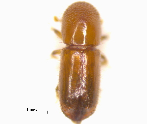  ( - RE21-AF1-SCO-0155)  @11 [ ] by-nc-sa (2023) Unspecified University of W&uuml;rzburg