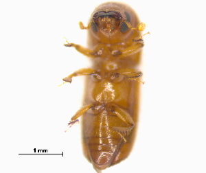  ( - RE21-AF1-SCO-0155)  @11 [ ] by-nc-sa (2023) Unspecified University of W&uuml;rzburg