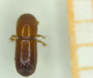  ( - RE21-AF1-SCO-0141)  @11 [ ] by-nc-sa (2023) Unspecified University of W&uuml;rzburg