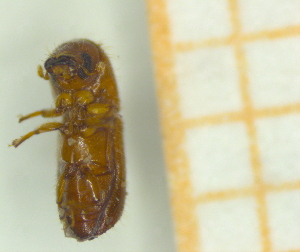  ( - RE21-AF1-SCO-0141)  @11 [ ] by-nc-sa (2023) Unspecified University of W&uuml;rzburg