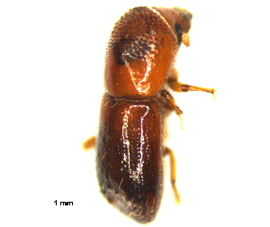  ( - RE21-AF1-SCO-0087)  @11 [ ] by-nc-sa (2023) Unspecified University of W&uuml;rzburg